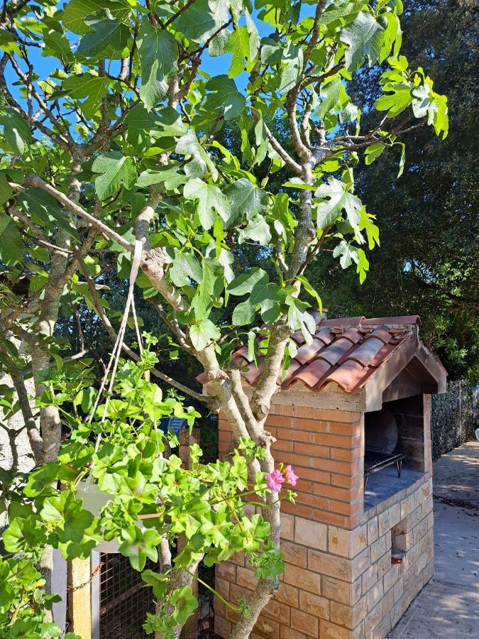 Apartman Melita Galižana エクステリア 写真